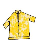 P551.622.CAM.6223-909