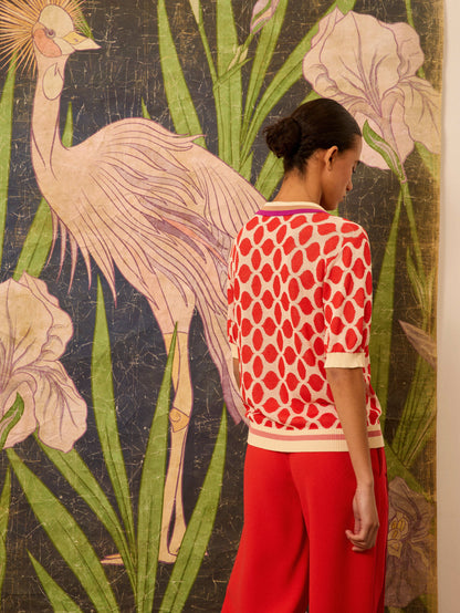 Jersey con intarsia coral